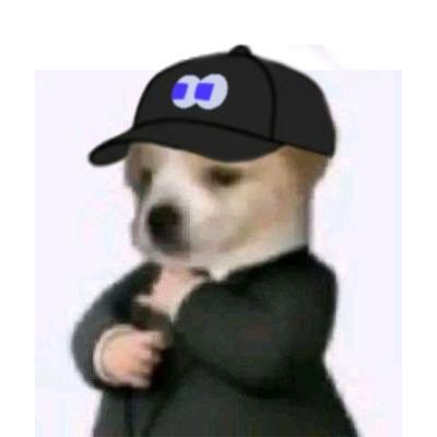 Doge in a suit wearing the cap