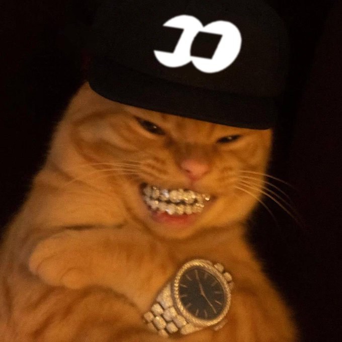Cat with gold teeth and a gold watch wearing the cap