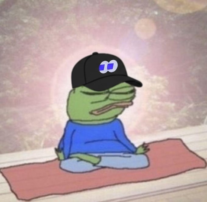 Frog meditating while wearing the cap