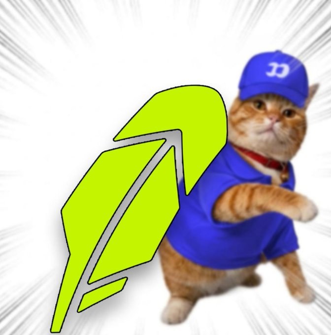 Cat in a green jacket wearing the cap