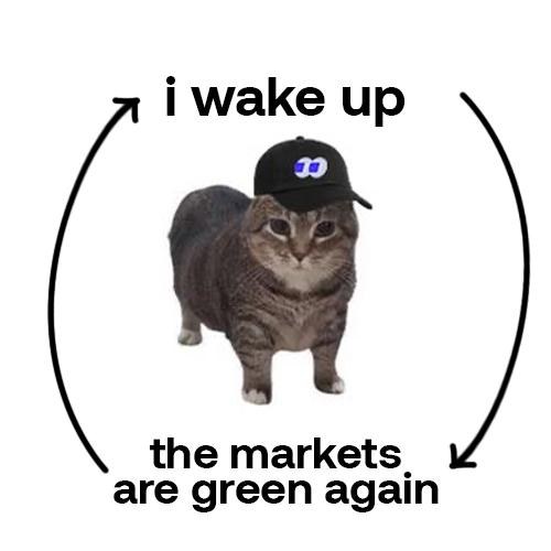 Tabby cat wearing the cap in a loop diagram